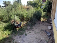 20.6.25: Kampf dem Unkraut!