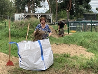 5.9.25: Der Unkrauthaufen muss weg!