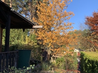 06.11.2025: Eine Menge Arbeit in Pinnow