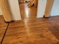 3.12. - Hannes: Bis auf einen haben alle (machbaren) B&auml;ume braune Schuhe an